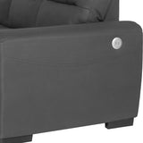 June Sectional Pull-Out Sofa Bed with FREE Storage Ottoman and USB Ports